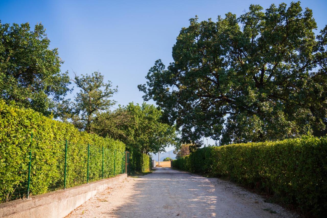 Bed and Breakfast Le Colonne Cassino Exteriér fotografie